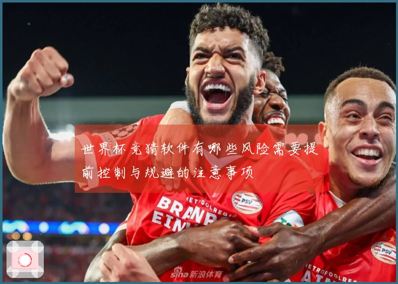 世界杯竞猜软件有哪些风险需要提前控制与规避的注意事项
