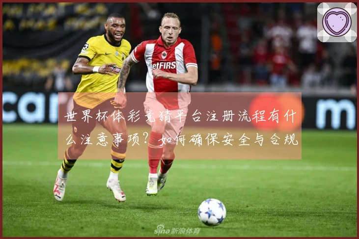 世界杯体彩竞猜平台注册流程有什么注意事项？如何确保安全与合规？