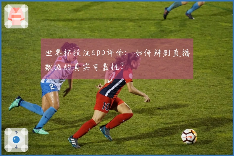 问鼎pg体育资讯图片