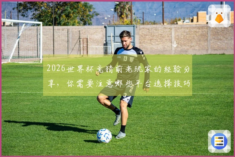2026世界杯竞猜前老玩家的经验分享，你需要注意哪些平台选择技巧