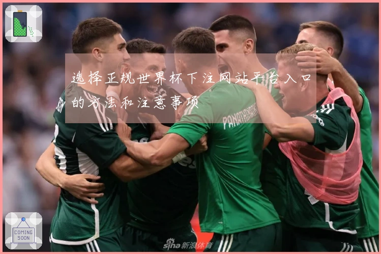 选择正规世界杯下注网站平台入口的方法和注意事项