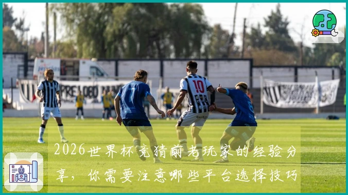 2026世界杯竞猜前老玩家的经验分享，你需要注意哪些平台选择技巧