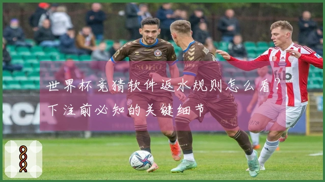 世界杯竞猜软件返水规则怎么看？下注前必知的关键细节